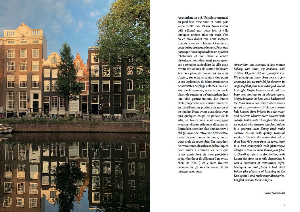 Guide in the mood for AMSTERDAM