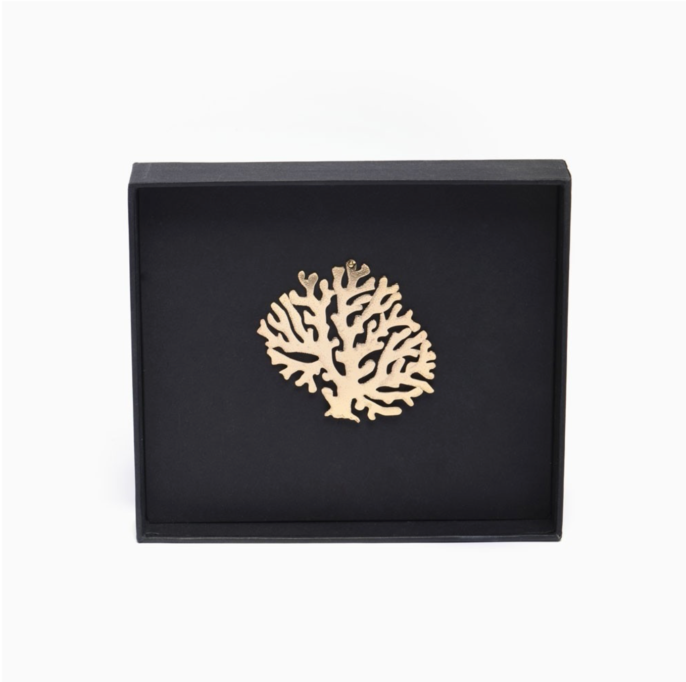 Bijou mural CORAIL