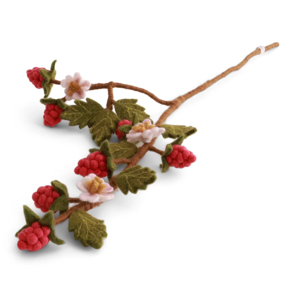 Branche de framboisier