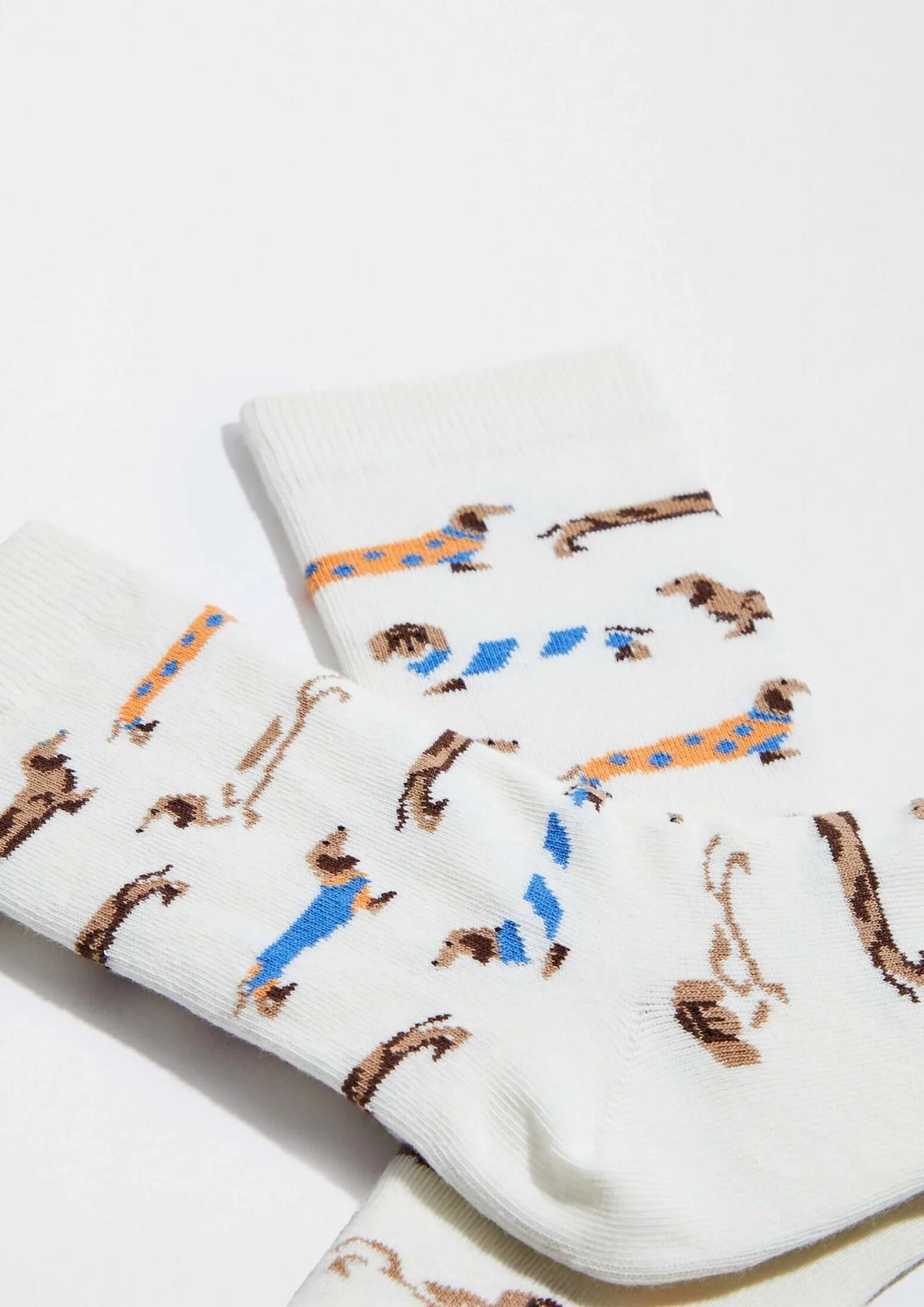 Chaussettes Multi teckels