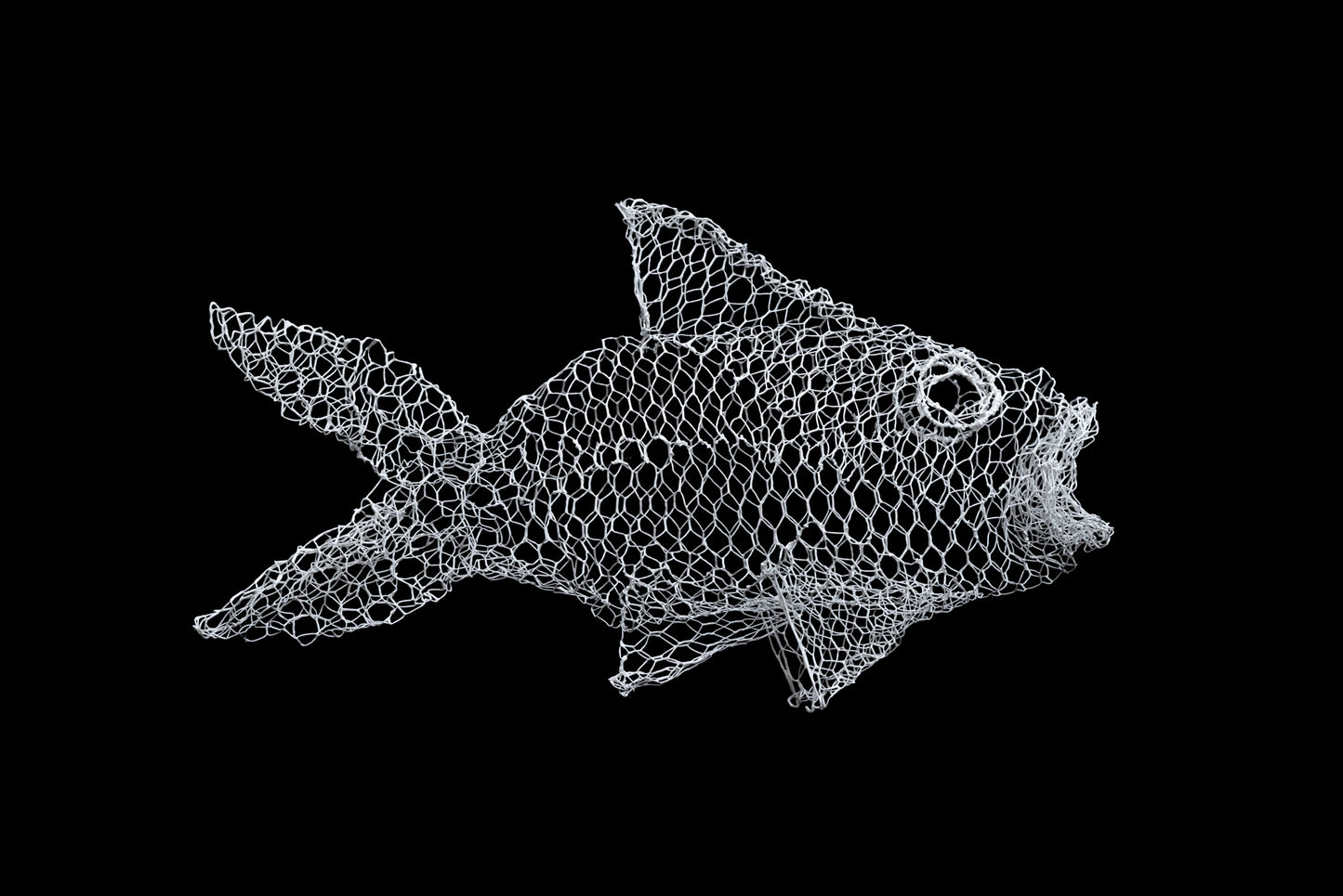 Sculpture Poisson