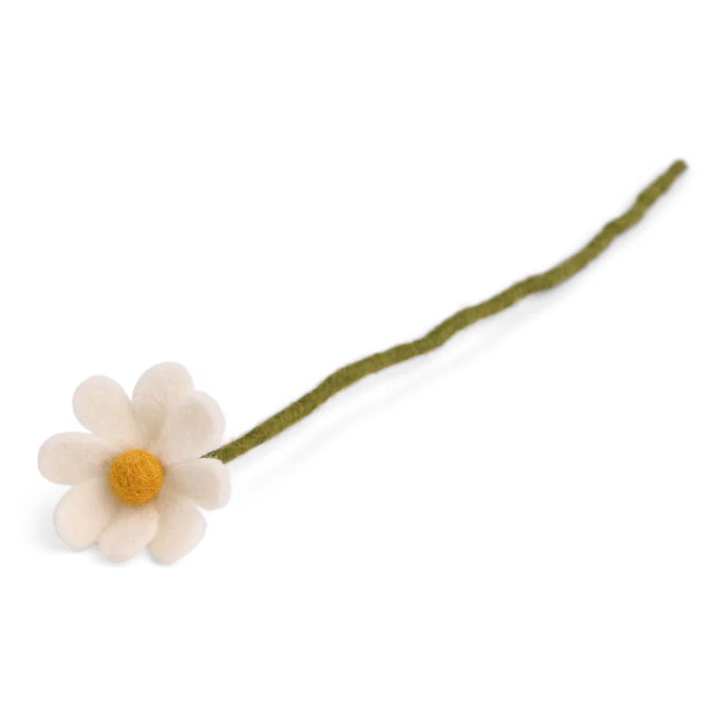 Fleur Anémone- Blanc