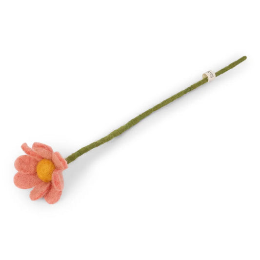 Fleur Anémone- Corail
