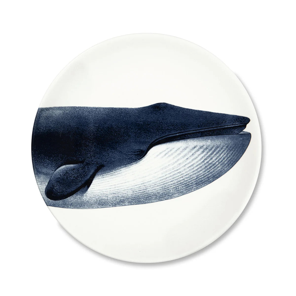 Assiette plate BALEINE - Ø 27 CM