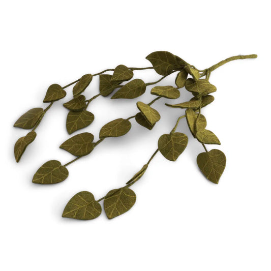 Branche de succulente verte