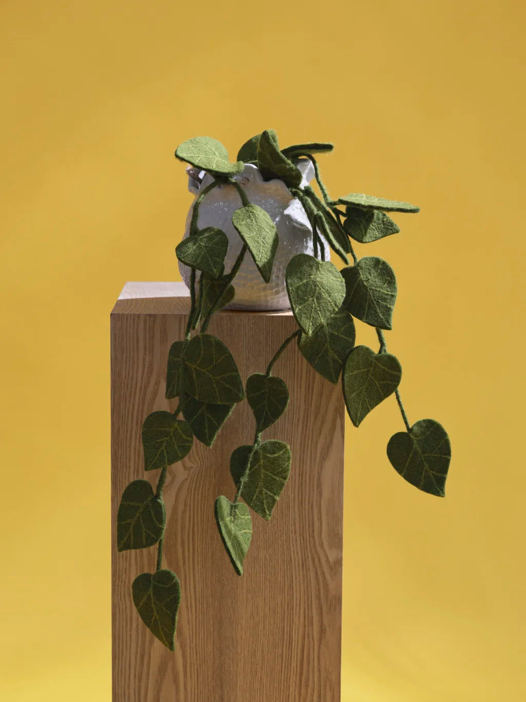 Branche de succulente verte