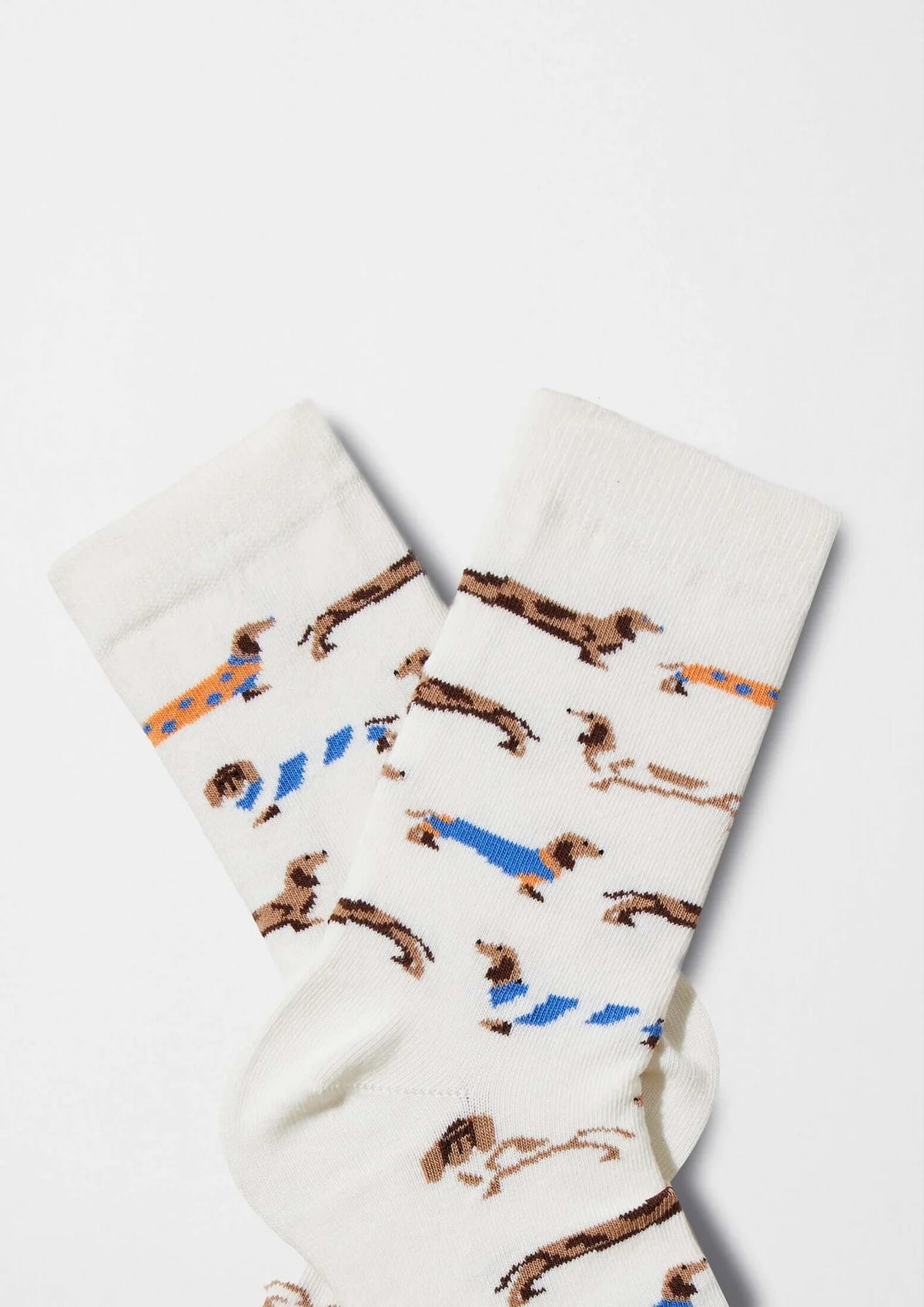 Chaussettes Multi teckels