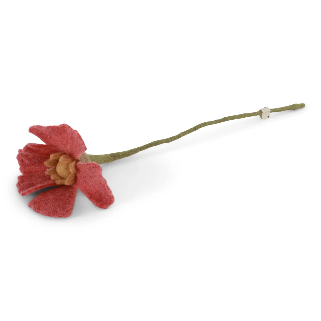 Fleur Coquelicot