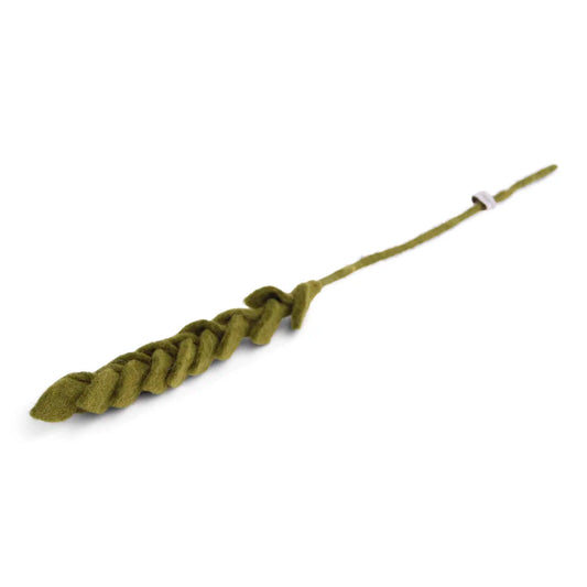 Branche: épis de blé vert