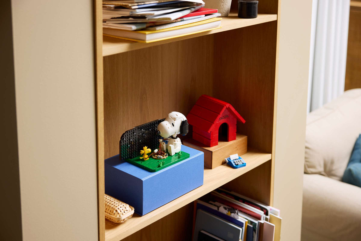 Jeu LEGO " La niche de Snoopy"