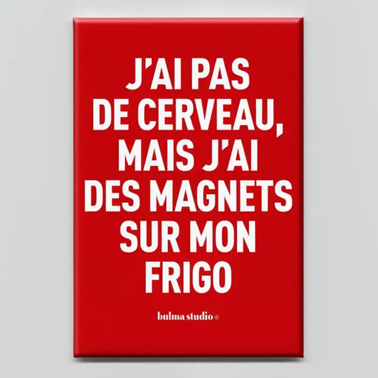 Magnet -J'ai pas de cerveau