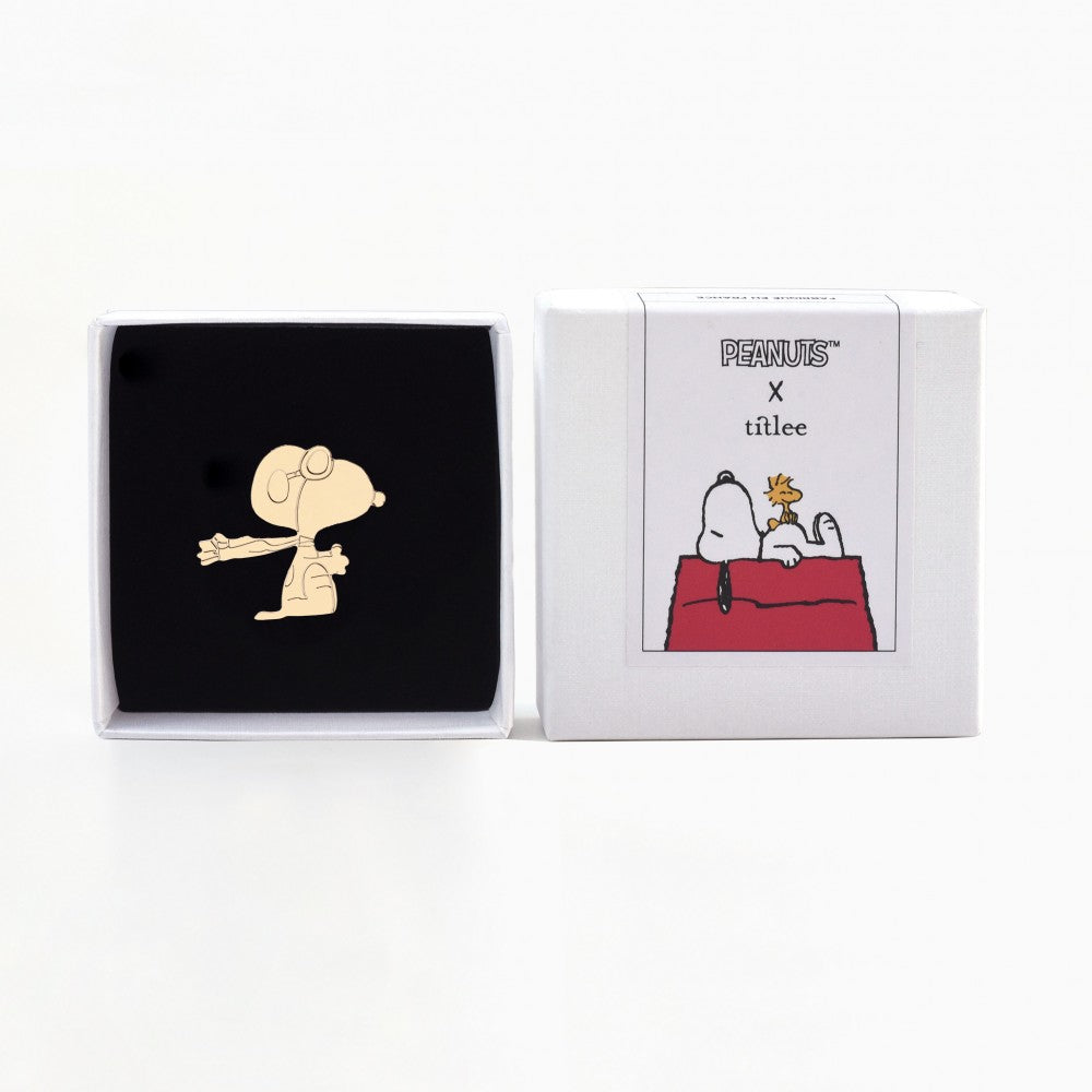 PIN'S NOVEMBER- SNOOPY MONTHLY